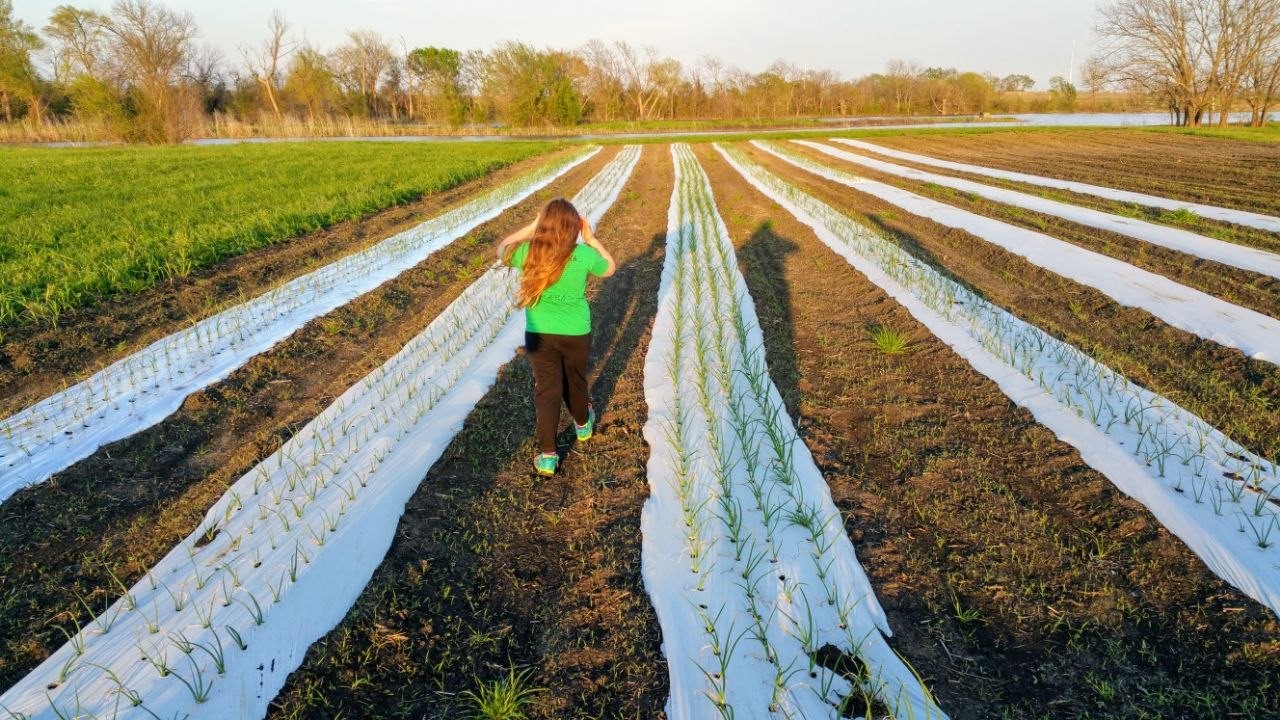 A young woman walking crop rows on a North Texas family farm