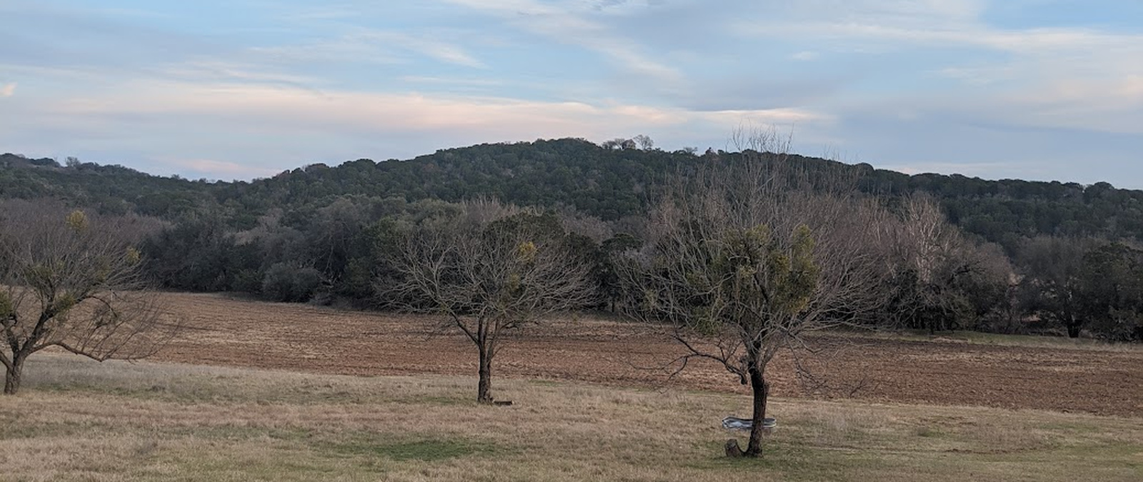 Open pasture and tilled ground below a wooded ridge beneath an evening sky